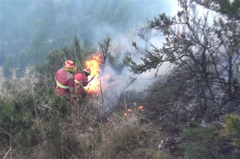 Reportan Incendio Forestal En Lambayeque El Número 41 En Lo Que Va Del