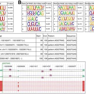 Analysis Of Correlation Between Celf Bound And Regulated Alternative