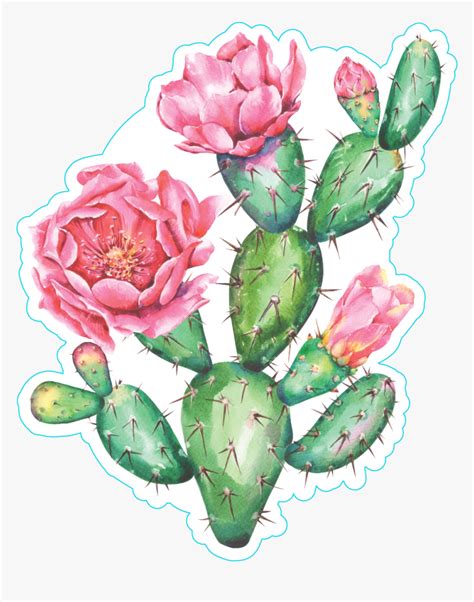 Prickly Pear Cactus Clip Art