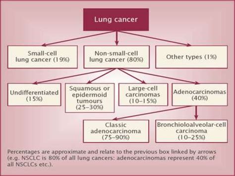 CLASSIFICATION OF LUNG TUMORS