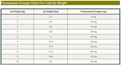 Praziquantel Dosage For Cats Uses Benefits And Side Effects