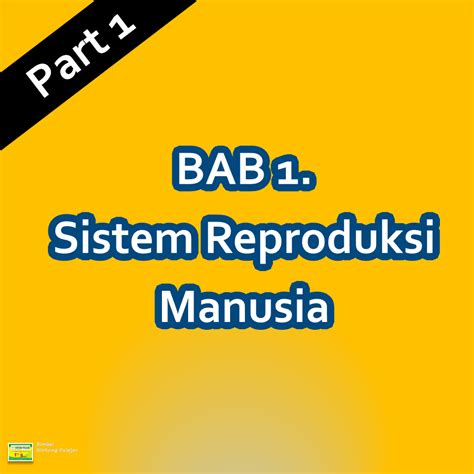 Bab 1 Part 1 Sistem Reproduksi Manusia Pembelahan Sel 55 Memainkan Quizizz