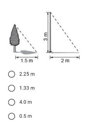 A las 11 de la mañana un árbol proyecta una sombra de 1 5 m mientras