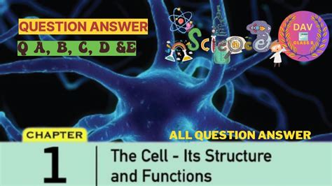 Chapter The Cell Its Structure And Functions Dav Class