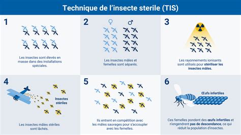 Comment les rayonnements aident ils à lutter contre les insectes