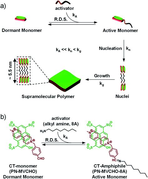 Controlled Synthesis Of Organic Two Dimensional Nanostructures Via