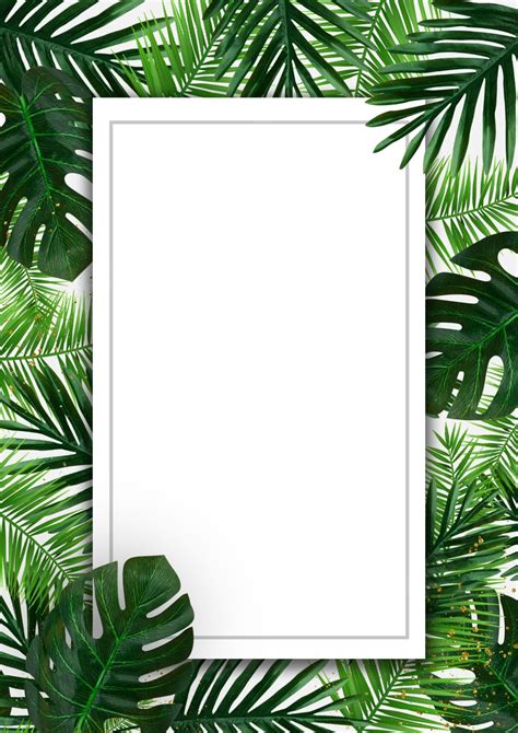 Leaves Of A Green Palm Plant Page Border Background Word Template And Google Docs For Free Download