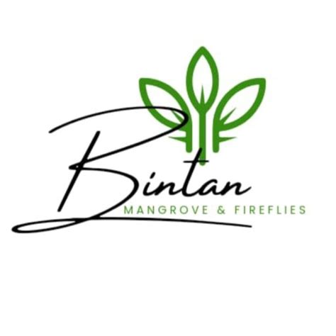 Official Site Of Bintan Fireflies Tour And Mangrove Tour Fun