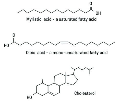 Lipid Diagram