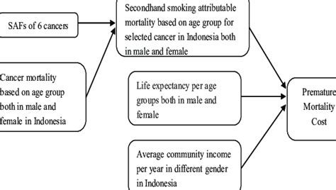 Life Expectancy Per Age Groups Both In Male And Female Download