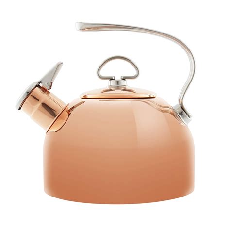 Top 10 Best Copper Tea Kettle Guide For 2024