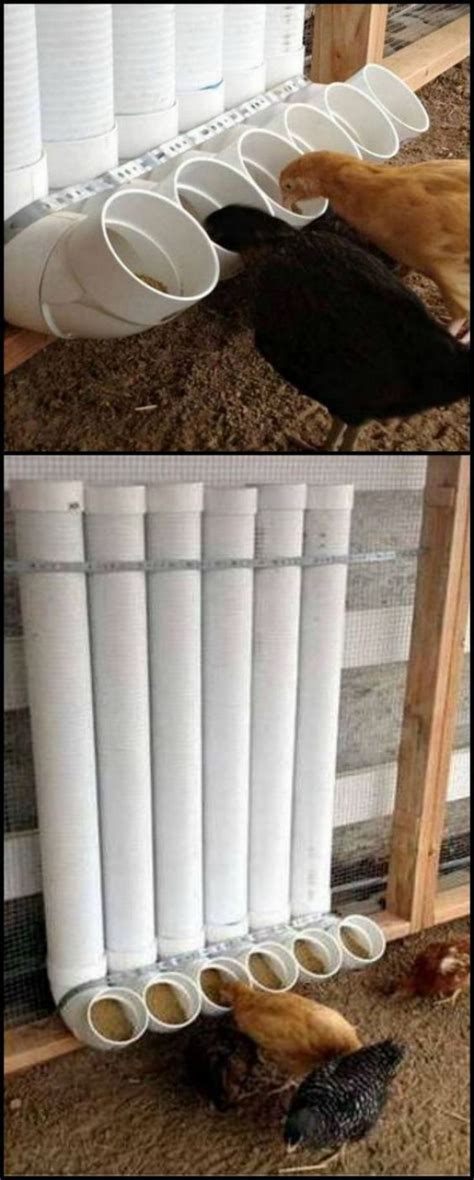 DIY PVC Chicken Feeders Affordable Feeder In 8 Easy Steps Small