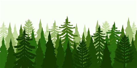 Pine Trees Forest Silhouette Nature Landscape Background Murales Los