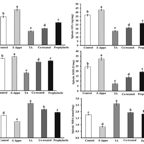 Gc Ms Chromatogram Of Saussurea Lappa Ethanolic Extract Download