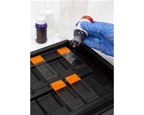 Microscope Slide Staining Tray | Heathrow- MG Scientific