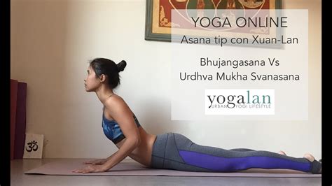 Posición De Yoga Bhujangasana Cobra Y Urdhva Mukha Svanasana Perro Mirando Hacia Arriba