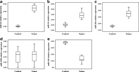 The Differential Expression Level Of Hsa MiR 21 A Hsa MiR 31 B