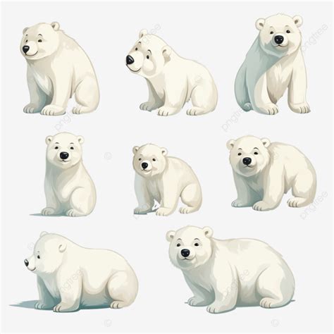 Dibujos De Osos Polares Para Ninos Ilustracion De Oso Polar En Un Gorro