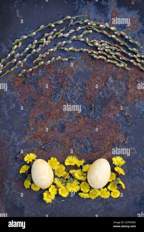 Easter Composition With Yellow Egg With Pussy Willow Branch And Green Plants And Flower On