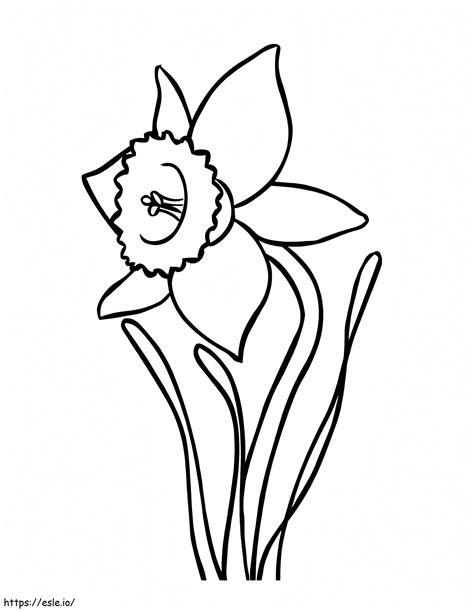 Normal Daffodils Coloring Page