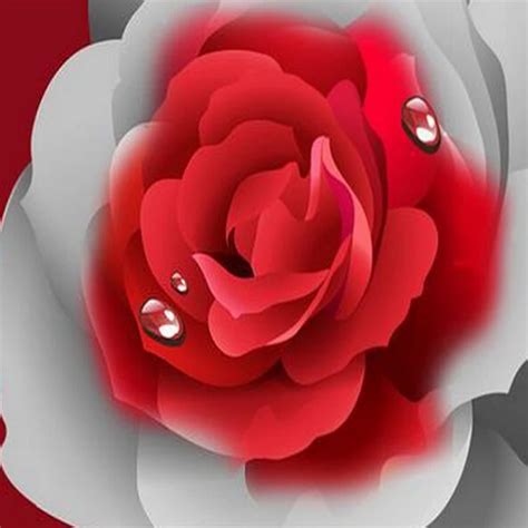 Wallpaper 3d Animation Rose