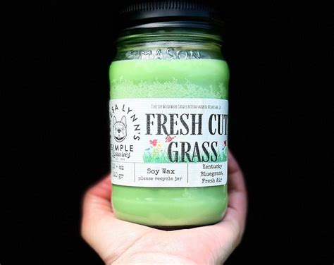 Fresh Cut Grass Soy Wax Melts Scented Wax Tarts 1 Package Clean Scent Spring Summer Etsy