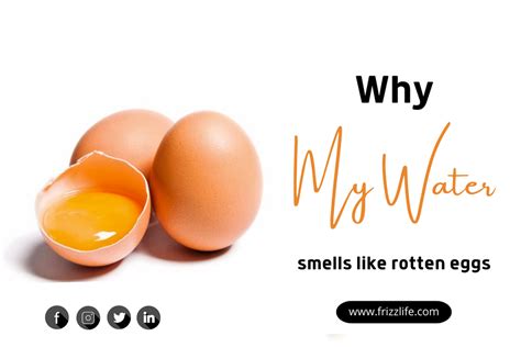 Why my water smells like rotten eggs – Frizzlife