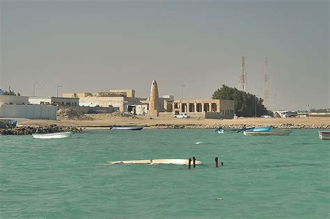 Al Ruwais Beach - Marhaba Qatar