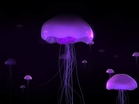 Purple Jellyfish - Fantasy Wallpaper (19522073) - Fanpop