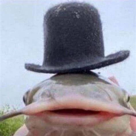 Create Meme Som Catfish Fish Pictures Meme