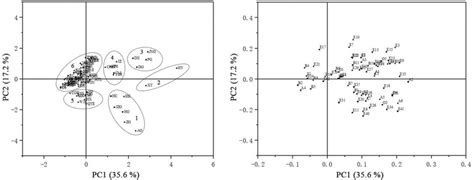 Principal Component Analysis Pca Of Volatile Compounds In 85 Apple Download Scientific