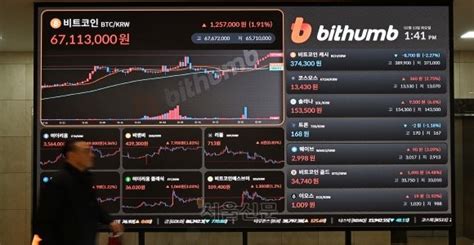 비트코인 폭등5만 달러 돌파 네이트 뉴스