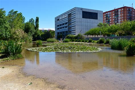 Biodiversidad En La Ciudad ¿un Reto Necesario Revista Mètode