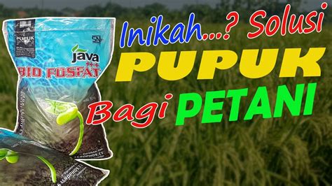 Cara Aplikasi Pupuk Bio Fosfat Sinautani