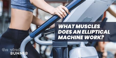 What Muscles Does An Elliptical Machine Work The Wired Runner
