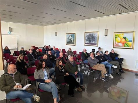 San Cataldo Presentato Nella Sala Borsellino Il Nuovo Sito Internet