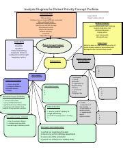 Case Study Docx Analysis Diagram For Patient Priority Concept