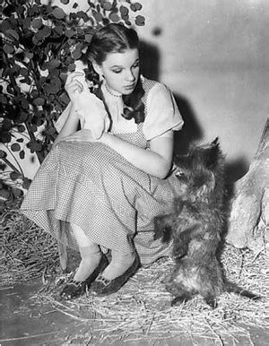 Dorothy and Toto - Toto (The Wizard of Oz) Photo (40256458) - Fanpop