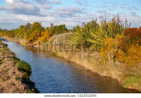 Native Plantings Along Riparian Zone Waterway Stock Photo Edit Now