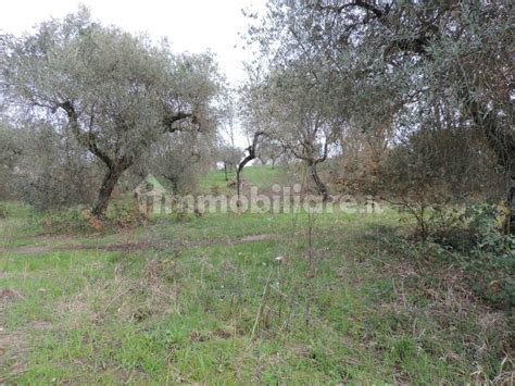 Terreno Agricolo Fara In Sabina Rif Immobiliare It