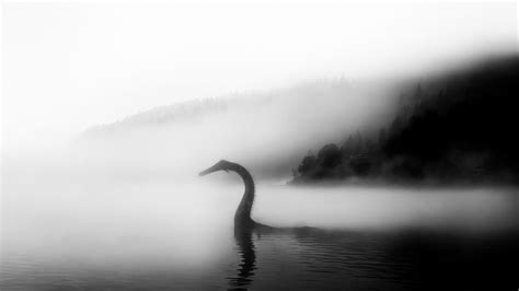 R Tsel Um Monster Von Loch Ness Neue Bilder Und W Rmebildaufnahme