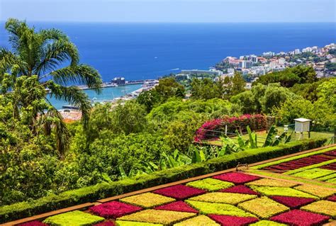 Ogród Botaniczny Monte W Funchal Madera Portugalia Obraz Stock Obraz