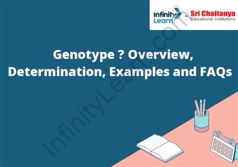 Genotype – Overview, Determination, Examples and FAQs - Infinity Learn ...