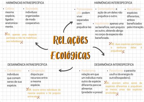 Mapa Mental De Rela Es Ecologicas Fdplearn