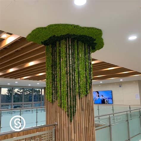 Moss Wall Art Moss Wall Art Airbnb Design Moss Wall