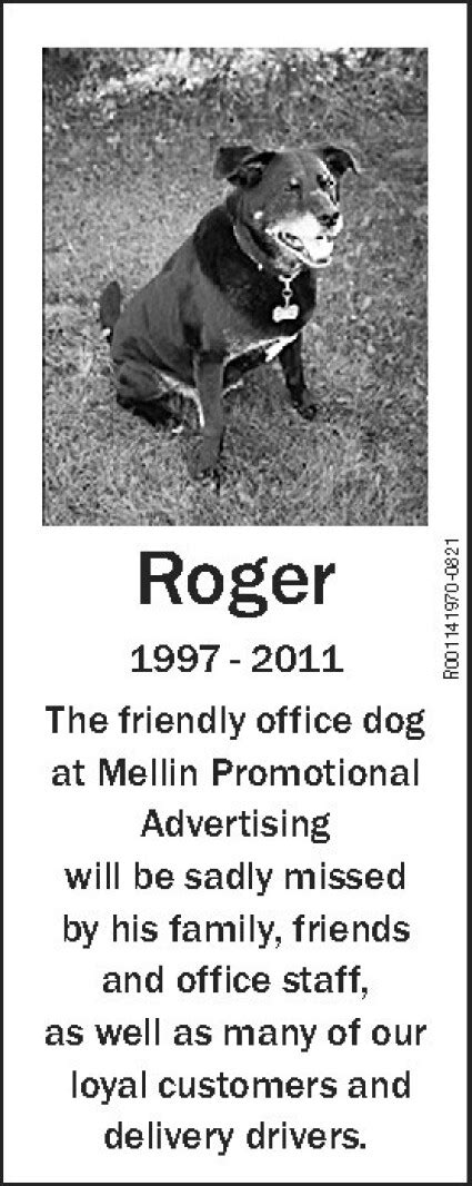Roger Duluth News Tribune News Weather And Sports From Duluth