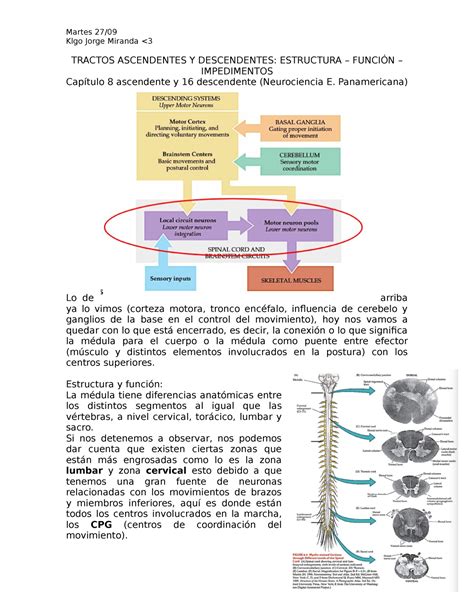 V As Jorgitomiranda Vias Neuro Klgo Jorge Miranda