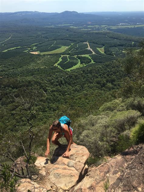 Five Hikes On The Sunshine Coast Australia You Dont Want To Miss The Average Adventurer