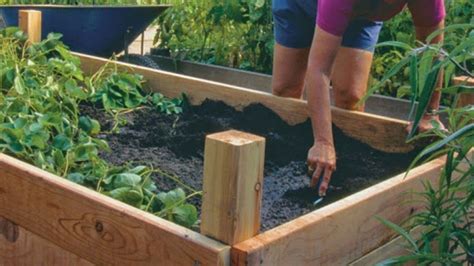 Orto Rialzato Come Costruirlo In Semplici Passaggi Giardino Trucchi