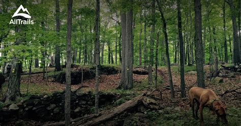 Best Trails Near Mount Kisco New York Alltrails